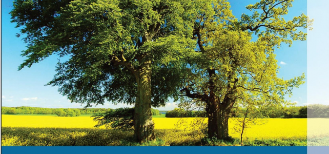 Aktionstag „Unser sauberes Schleswig-Holstein“ – Der SSC ist wieder dabei! Aktionstag „Unser sauberes Schleswig-Holstein“ – Der SSC ist wieder dabei!